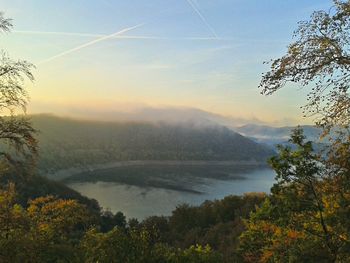 Scenic view of forest against sky during autumn