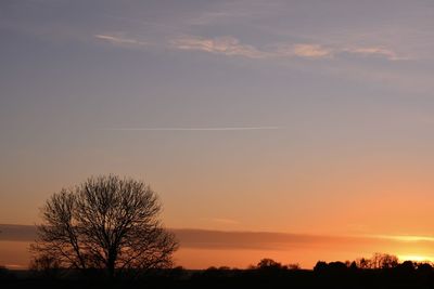 Low angle view of silhouette trees against sky at sunset