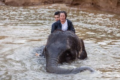 Man and woman sitting on elephant standing in river
