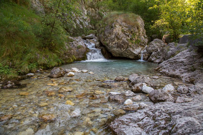 Scenic view of waterfall in forest