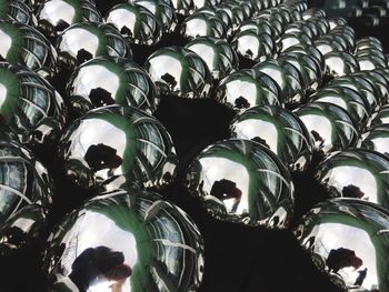 Close-up low angle view of leaves