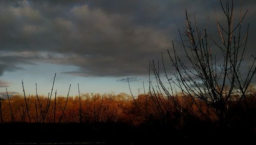 Scenic view of field against cloudy sky