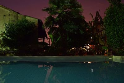 Reflection of palm trees in water