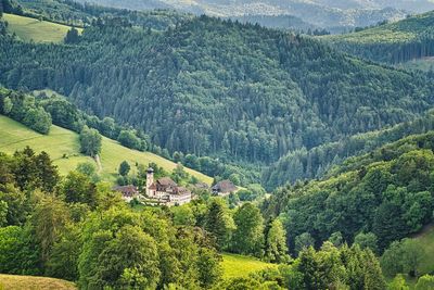 High angle view of trees on landscape