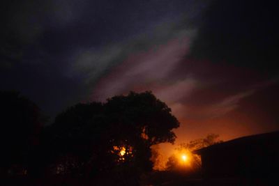 Low angle view of silhouette trees against sky at night