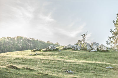 Scenic view of field and boulder against sky