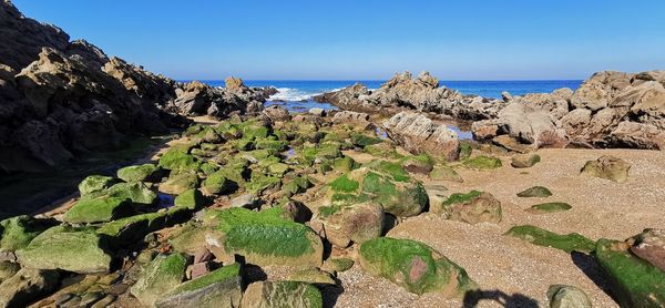 Scenic view of sea against clear sky