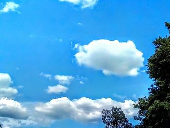 Low angle view of trees against blue sky