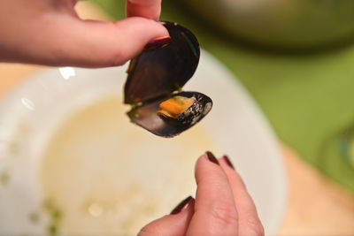 Close-up of woman holding clam