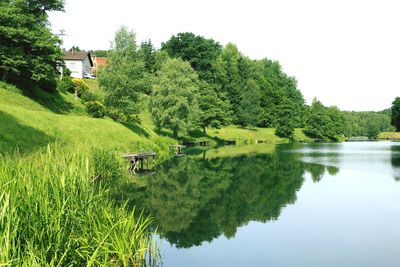 Scenic view of lake by trees against sky