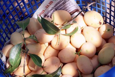 Close-up of fruits in basket