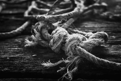 Close-up of rope tied on wood