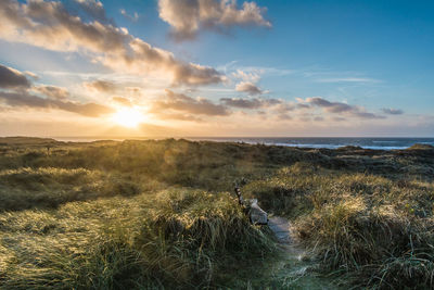 Scenic view of grassy field by sea against cloudy sky during sunset