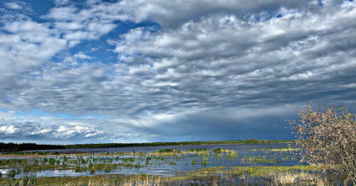 Scenic view of lake against sky