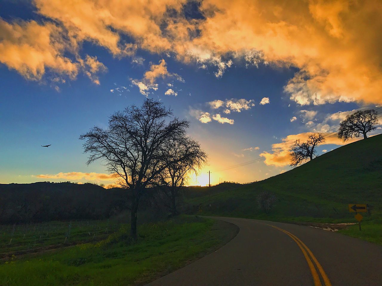 ROAD AMIDST TREES AGAINST SKY DURING SUNSET