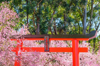 Low angle view of torii gate in park