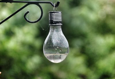 Close-up of light bulb