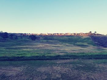 Scenic view of field against clear sky