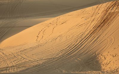 Sand dunes in a desert