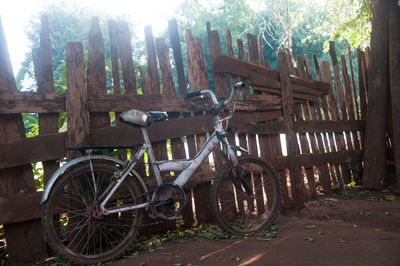 Bicycles parked by tree