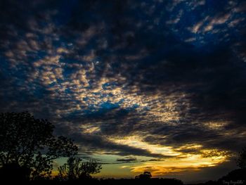 Low angle view of silhouette trees against dramatic sky