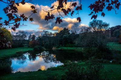 Reflection of trees in lake