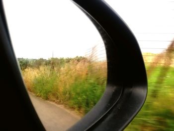 Reflection of trees in side-view mirror