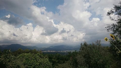 Scenic view of landscape against cloudy sky