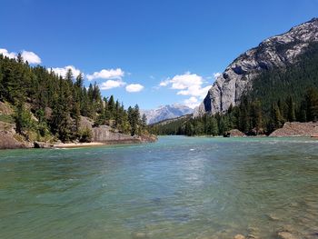 Scenic view of lake by trees against blue sky