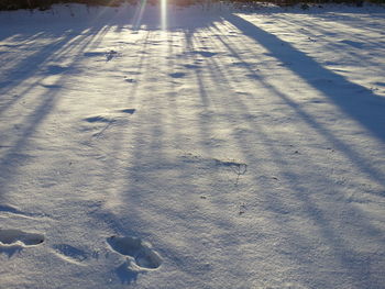 High angle view of frozen shadow on snow