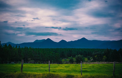 Scenic view of field against sky at sunset