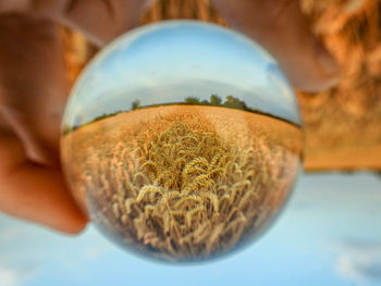 Close-up of hand holding ball