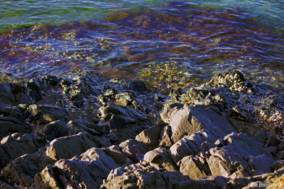 High angle view of rocks on sea shore