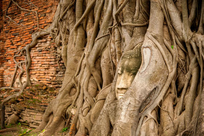 View of buddha statue