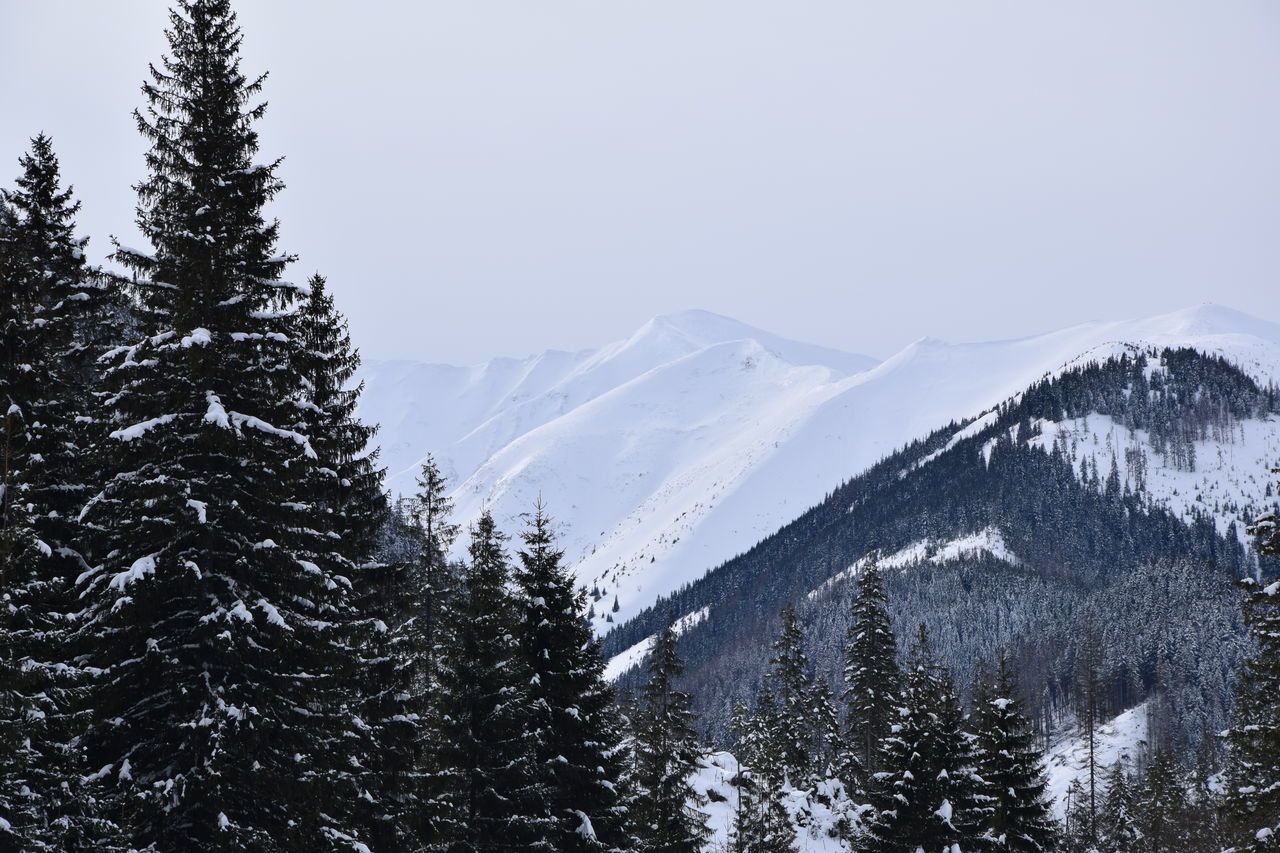 SCENIC VIEW OF SNOW COVERED MOUNTAINS AGAINST SKY