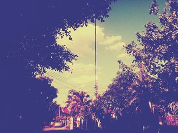 Low angle view of trees against sky