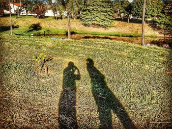 Shadow of person on grassy field