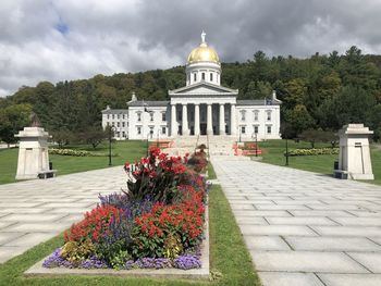 Flowers growing on footpath against building