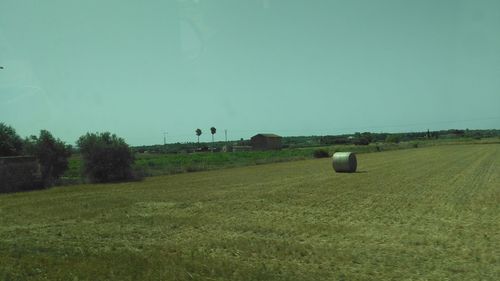 Scenic view of agricultural field against clear sky