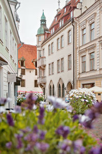 Buildings in town against clear sky