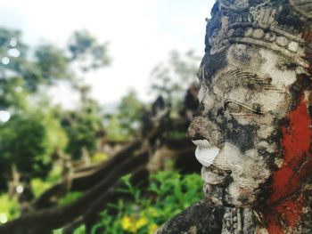 Close-up of statue against trees