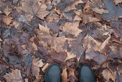 Low section of person standing on maple leaves during autumn