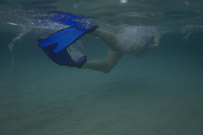 Close-up of swimming underwater