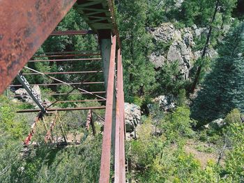 Abandoned bridge amidst trees in forest