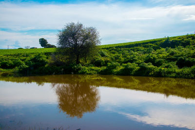 Scenic view of lake against sky