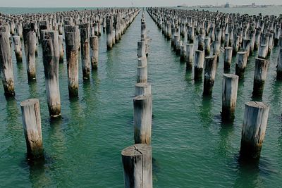 Wooden posts in the sea