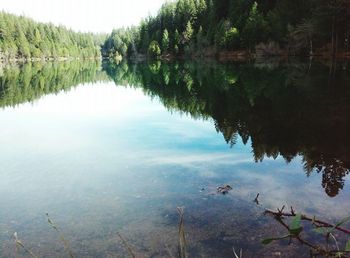 Reflection of trees in lake against sky