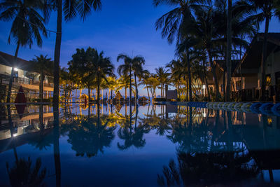 Reflection of palm trees in calm lake