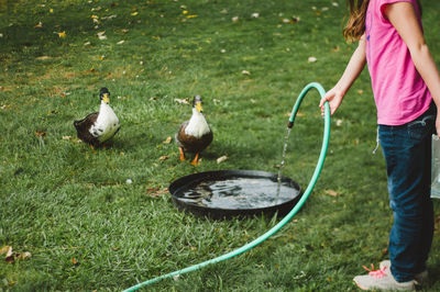 Low section of girl pouring water in container for duck while standing on grassy field at yard