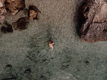 Drone view of woman standing on shore at beach